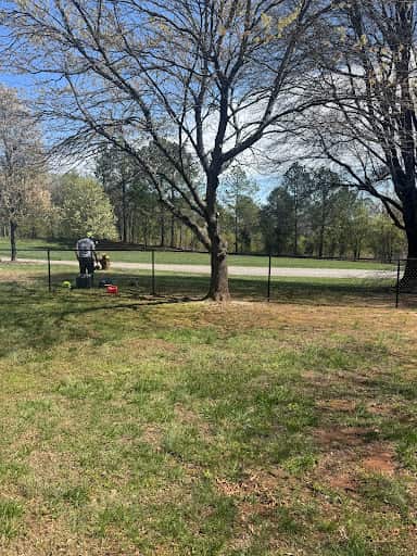 Spencer's Tree Service crew at work — Charlotte, NC