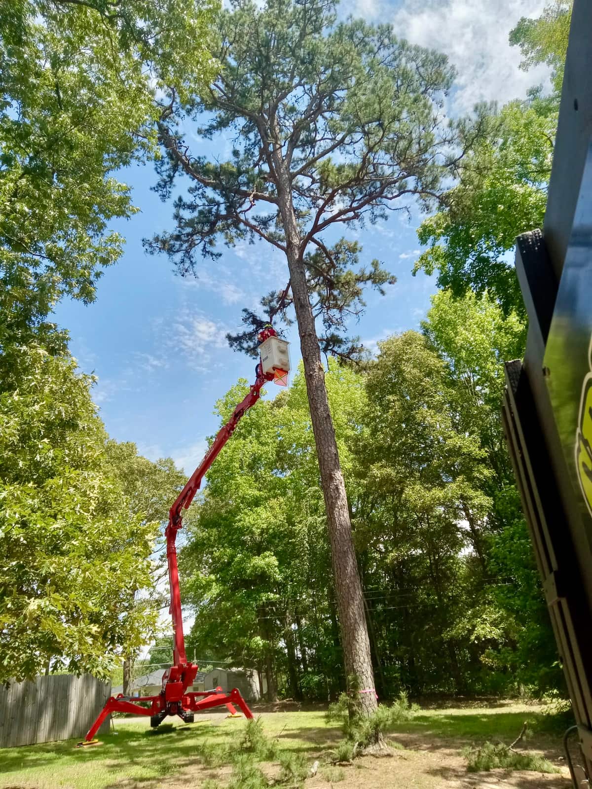 Spencer's Tree Service completed projects across Charlotte and the Lake Norman area