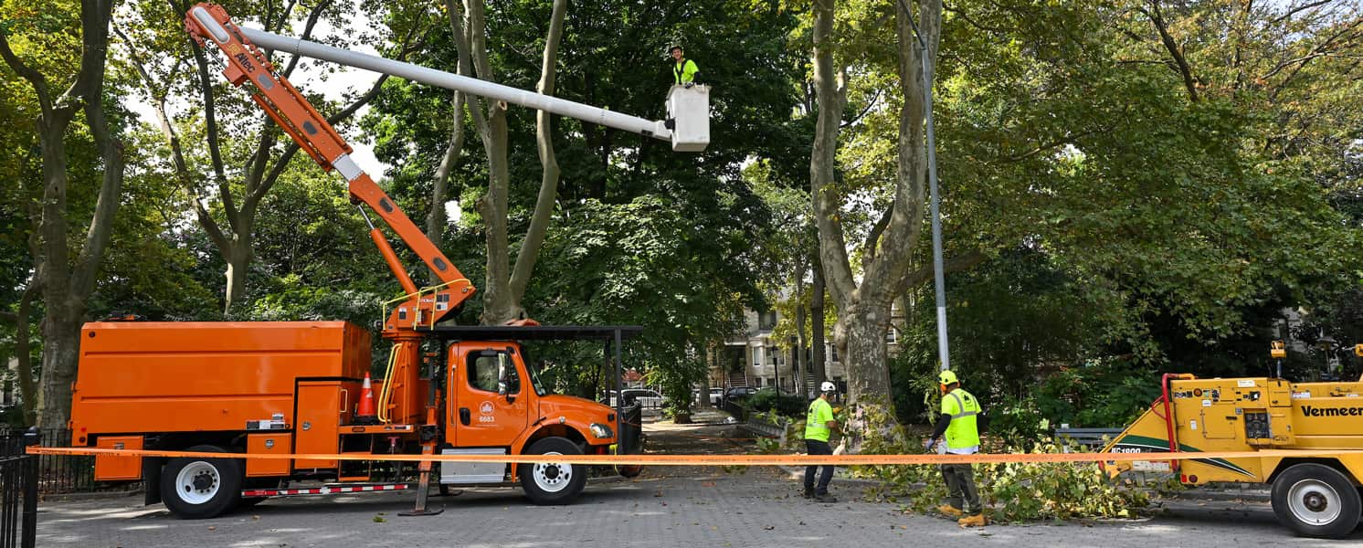 Debris cleanup after tree work
