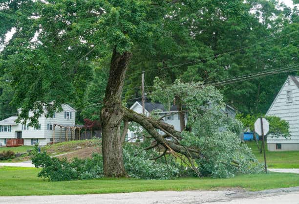 Emergency storm damage cleanup